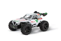 2,4GHz Team Rider